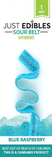 Fruit Punch Sour Long Belt (100MG)