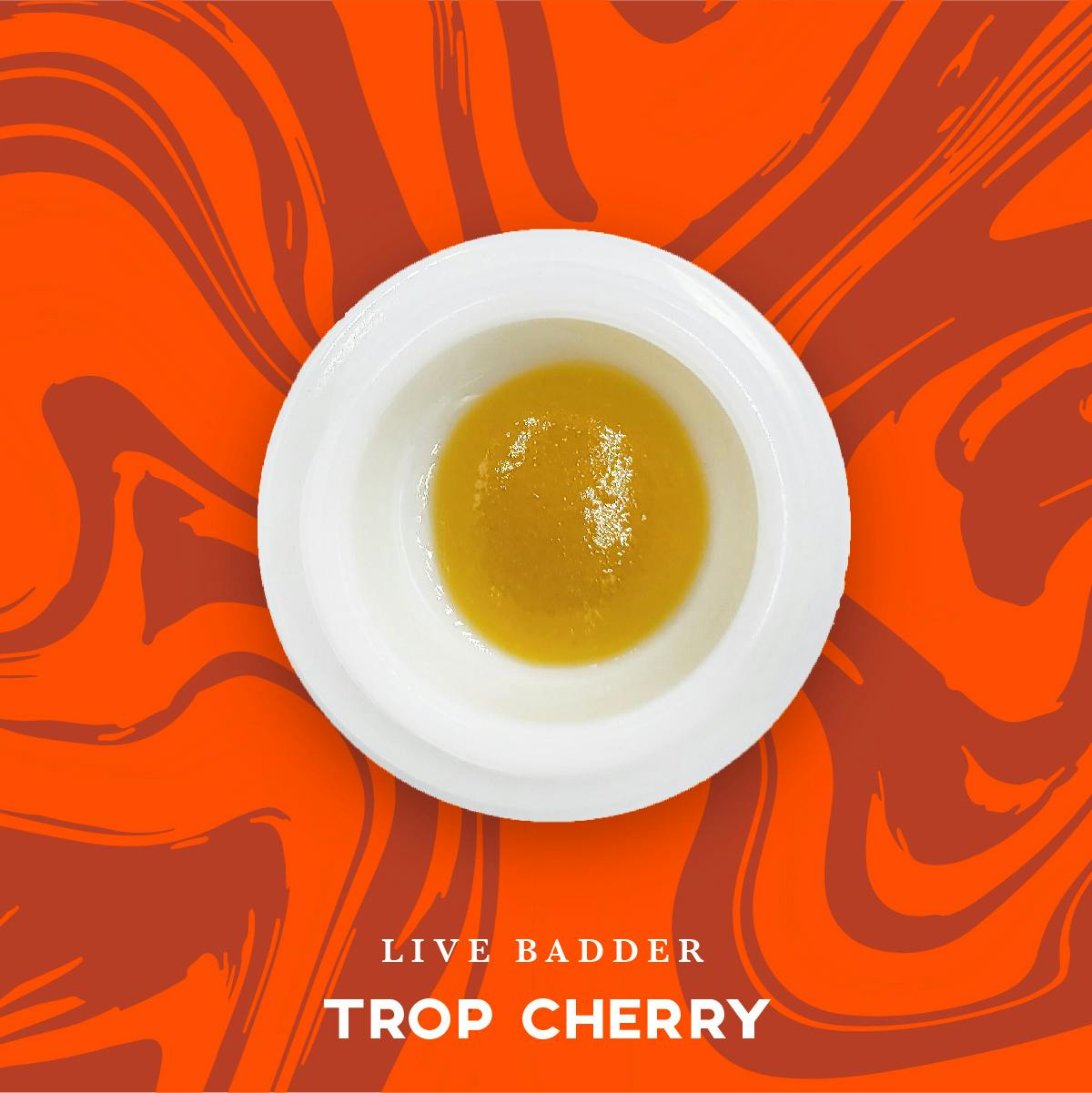 Vivid: Rosin Concentrate | Bananaconda | Rosin