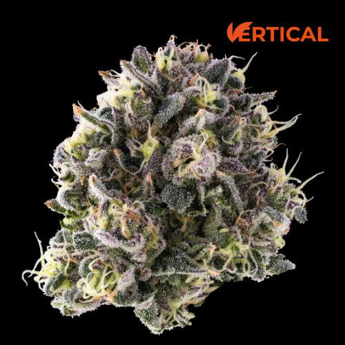 Vertical: Flower | Grape Bubblegum