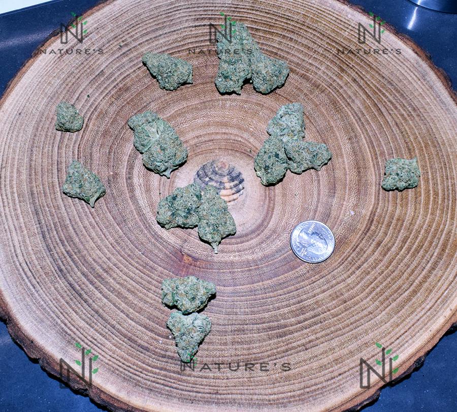 Nature's Shake Phantom Dawg Bulk