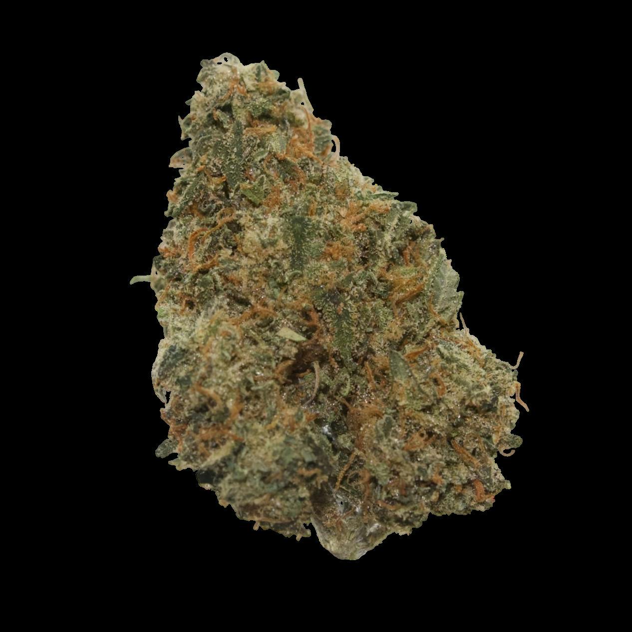 Rare Michigan Genetics Macinawe Buds