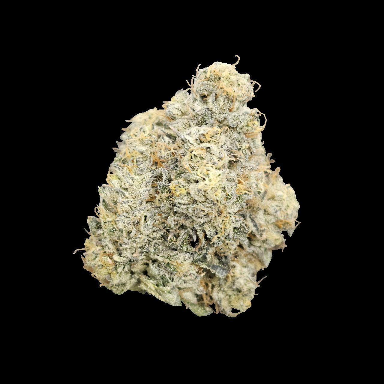 DR. JC's Exotics Bodega Buds at Higher Love Cannabis Dispensary Munising