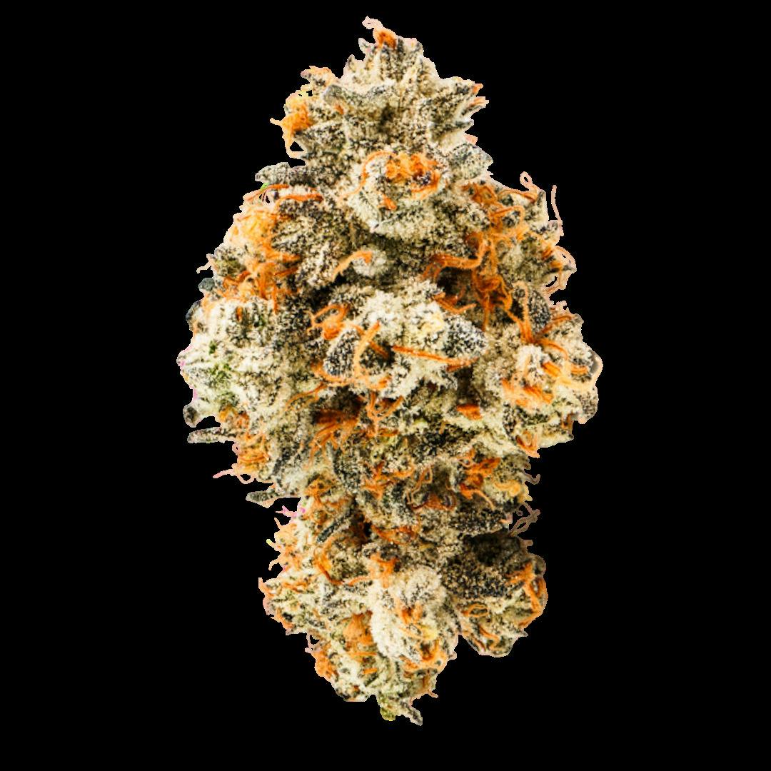 Rare Michigan Genetics Siesta Key OG Buds at Higher Love Cannabis Dispensary Munising