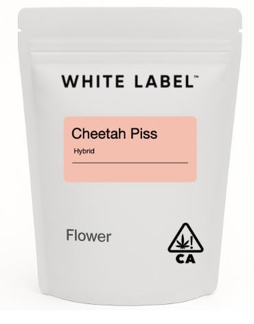 White: Lab 8th Cheetah Piss