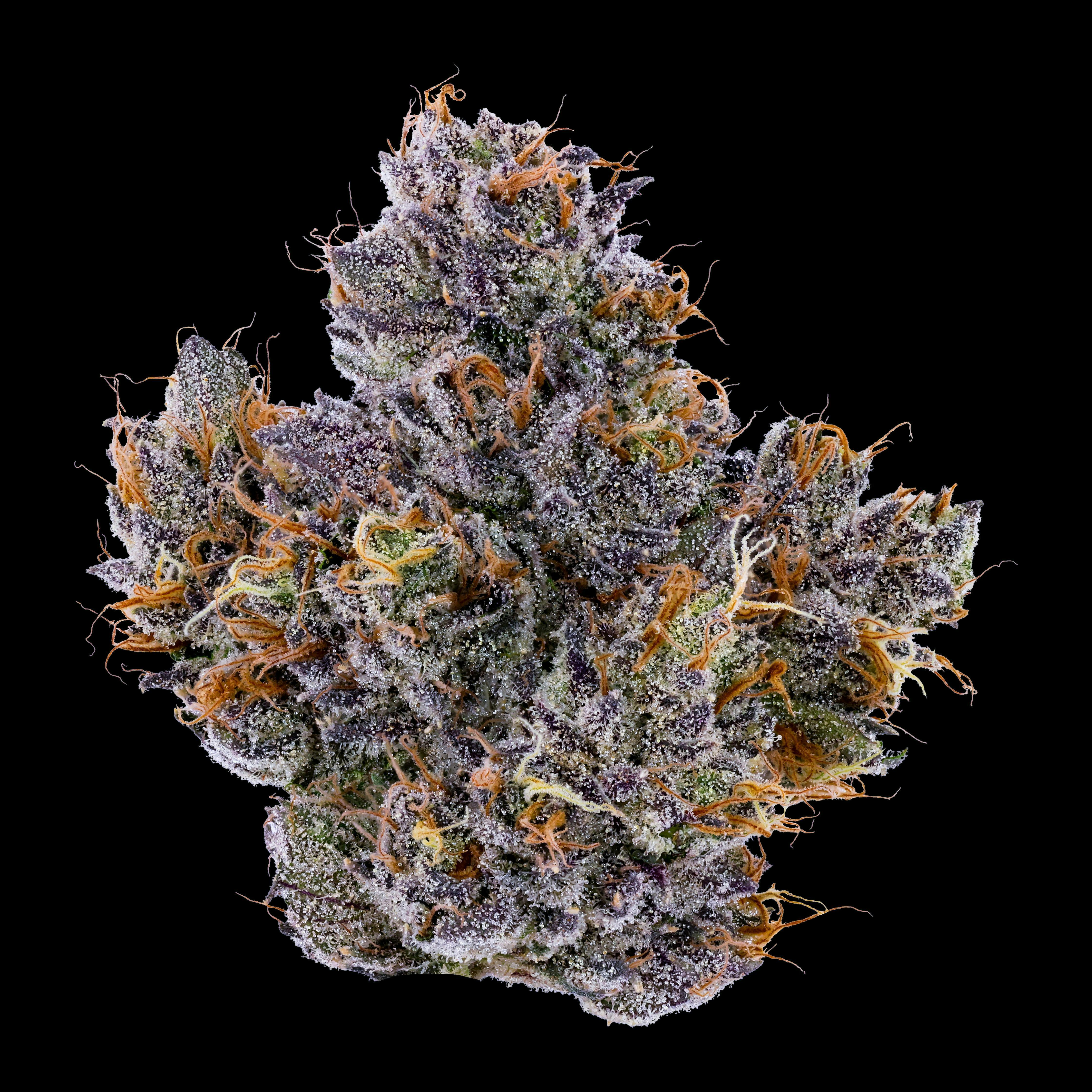 Fig Farms - Rapper Weed 8th (3.5g)