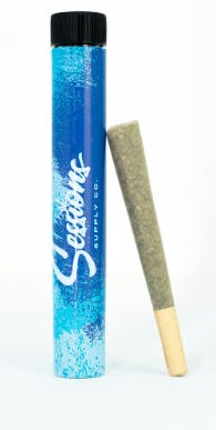 Sessions: Hawaiian Mango