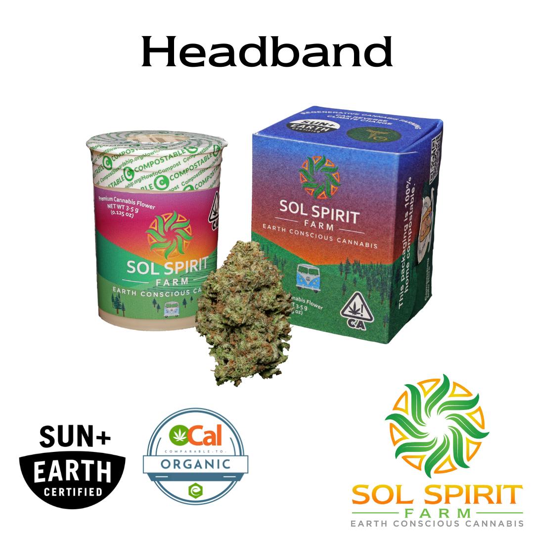 SOL SPIRIT FARM: Headband