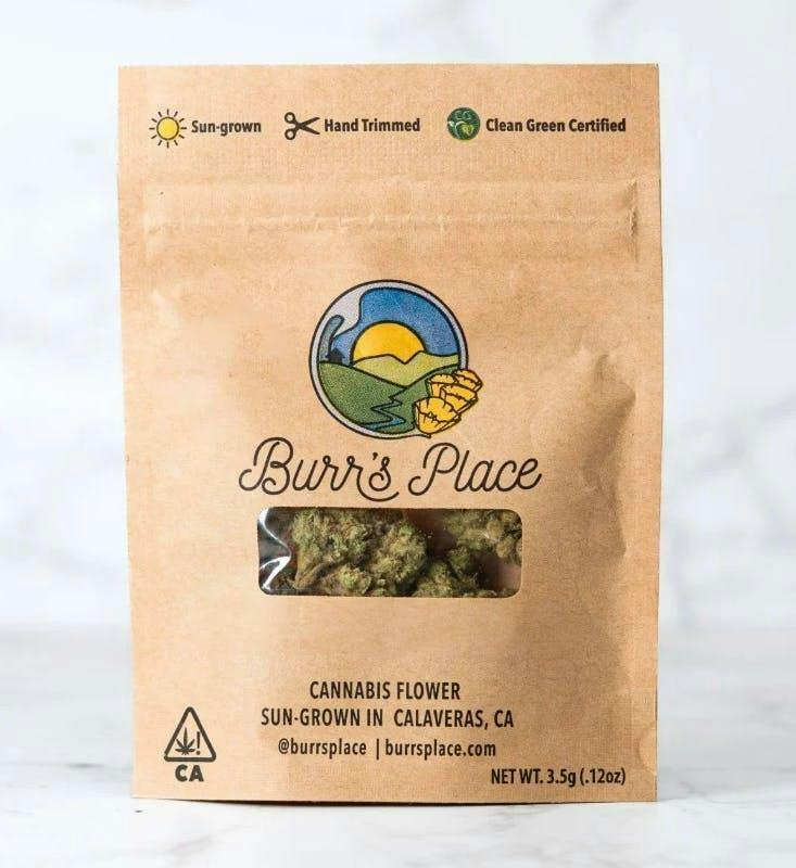 Burrs Place - Gelato Kush - 7g Bag