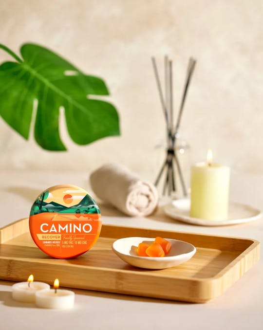 CAMINO: Freshly Squeezed - :2