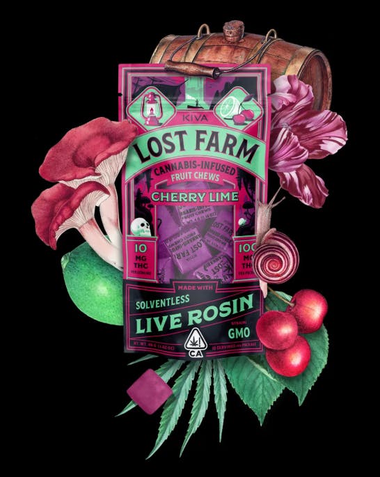 Lost Farm: GMO Cookies
