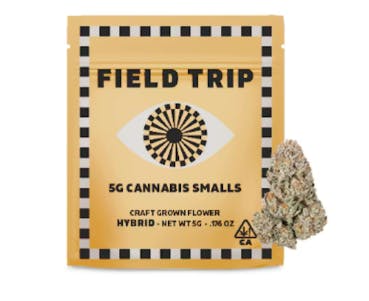 Field Trip: Tropicana Cookies