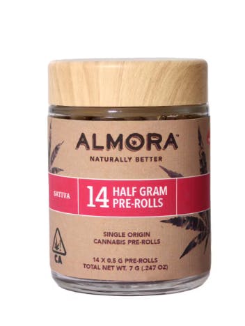 ALMORA: Blueberry Bars