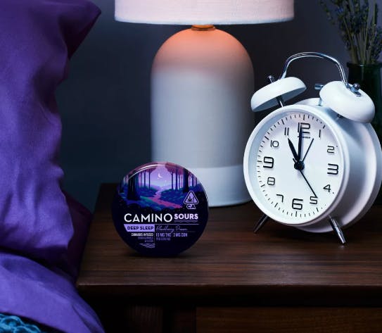 CAMINO: Blackberry Dream Sours