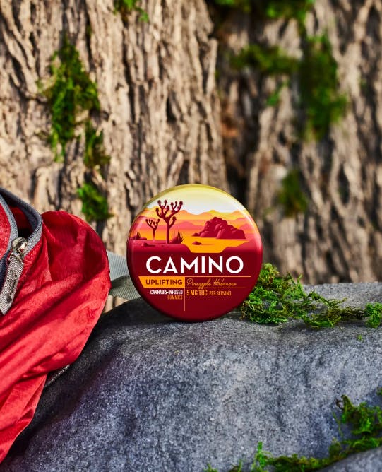 CAMINO: Pineapple Habanero