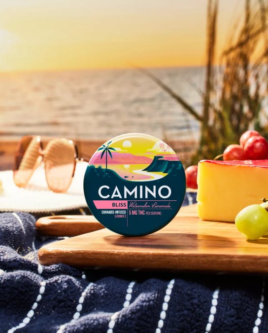 CAMINO: Watermelon Lemonade
