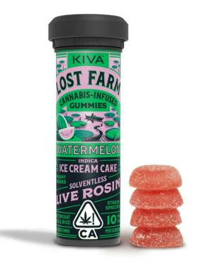 Lost Farm: Ice Cream Cake