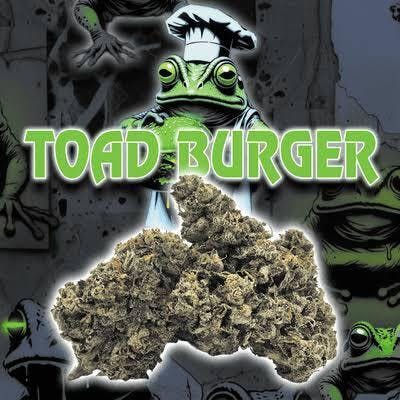 Green Dragon: Toad Burger