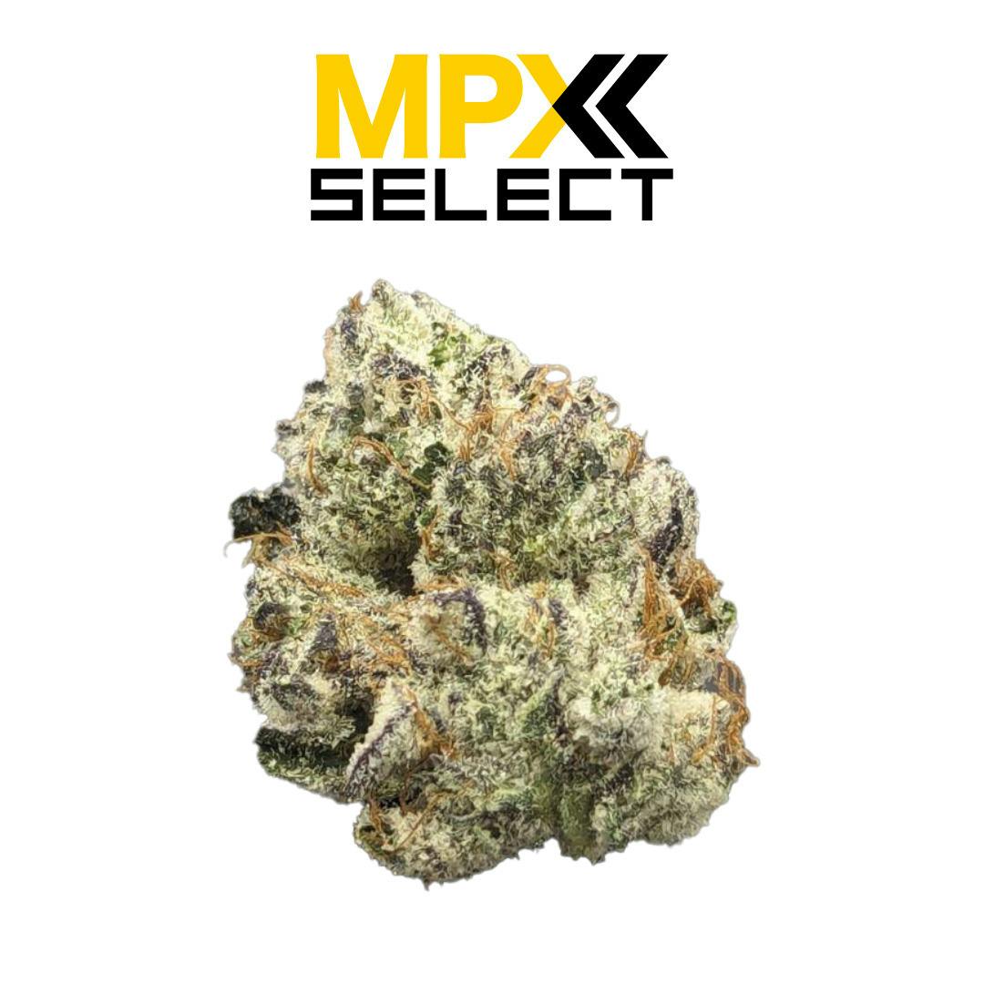 MPX Select™ Truffle Milk Flower