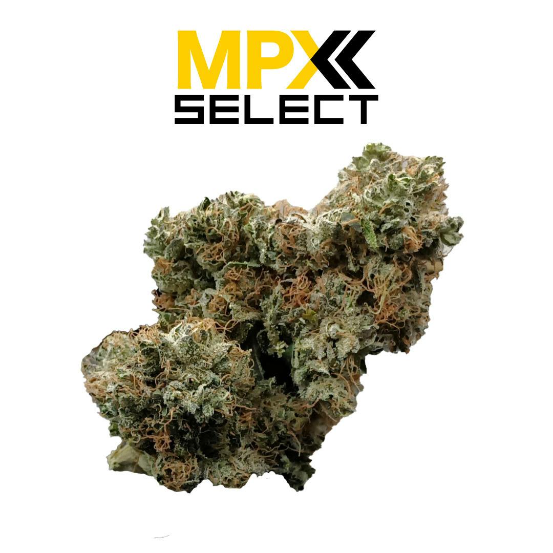 MPX Select™ Point Break Flower