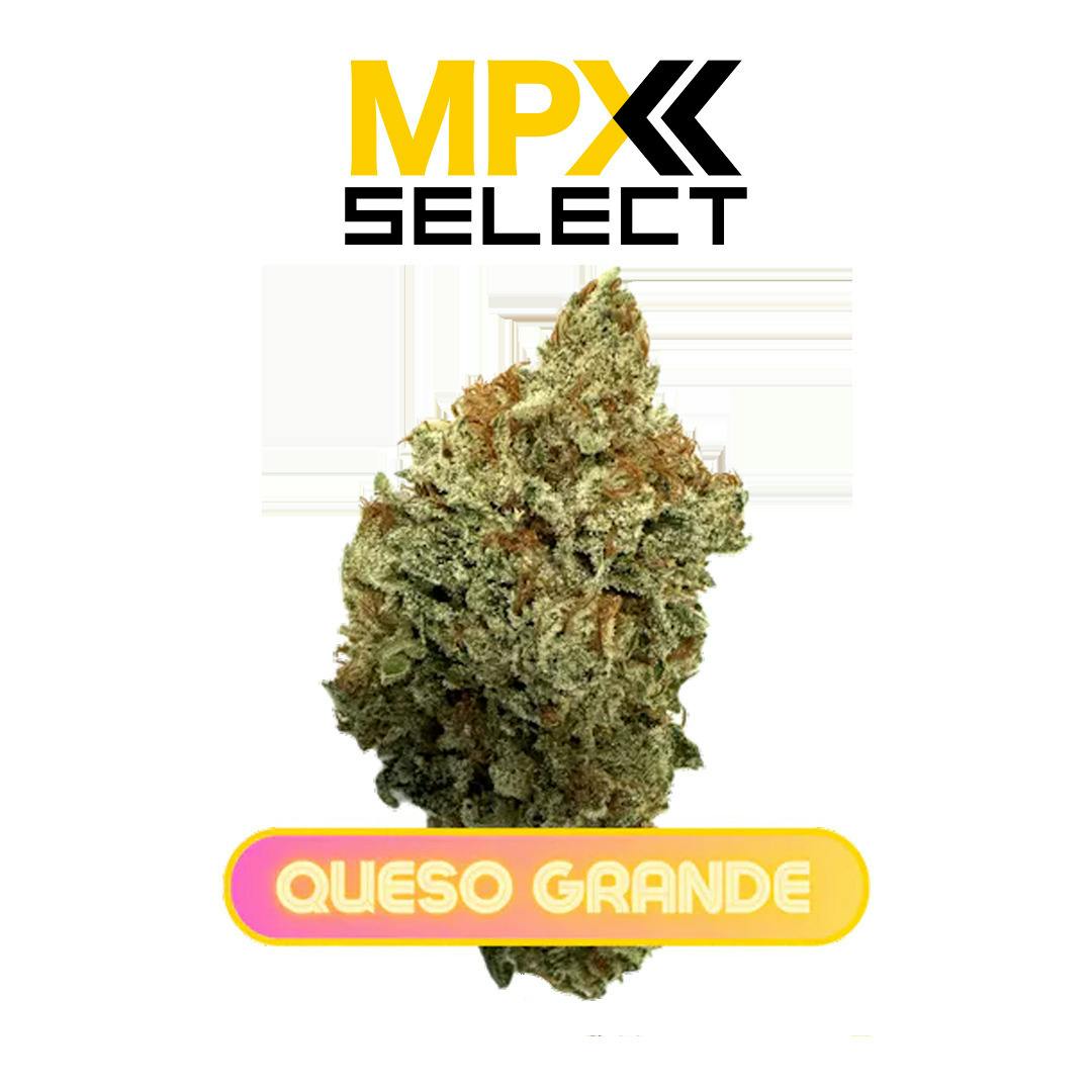 MPX Select™ Queso Grande Flower