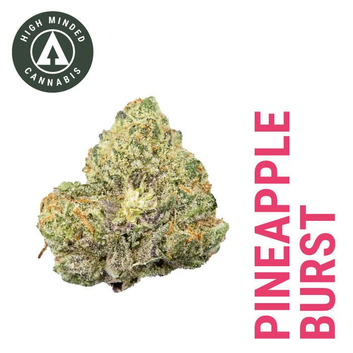 Pineapple Burst - Platinum Tier cannabis product