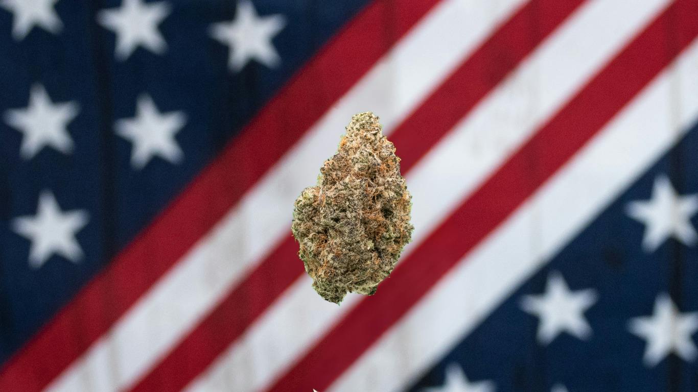 Lava Cake - Gold Tier cannabis product
