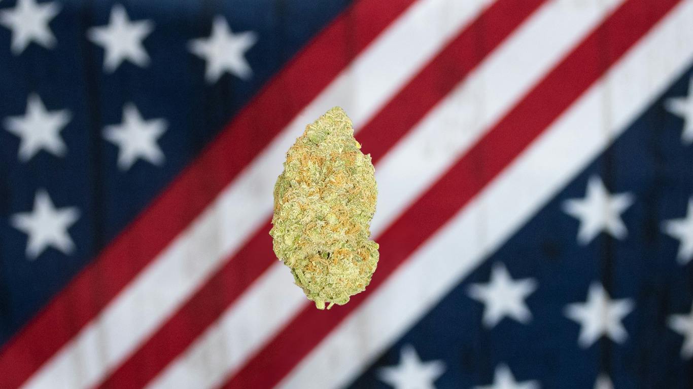 Tartz - Gold Tier cannabis product