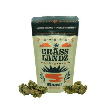 Grasslandz 3.5g - Glue 31 (Indica)