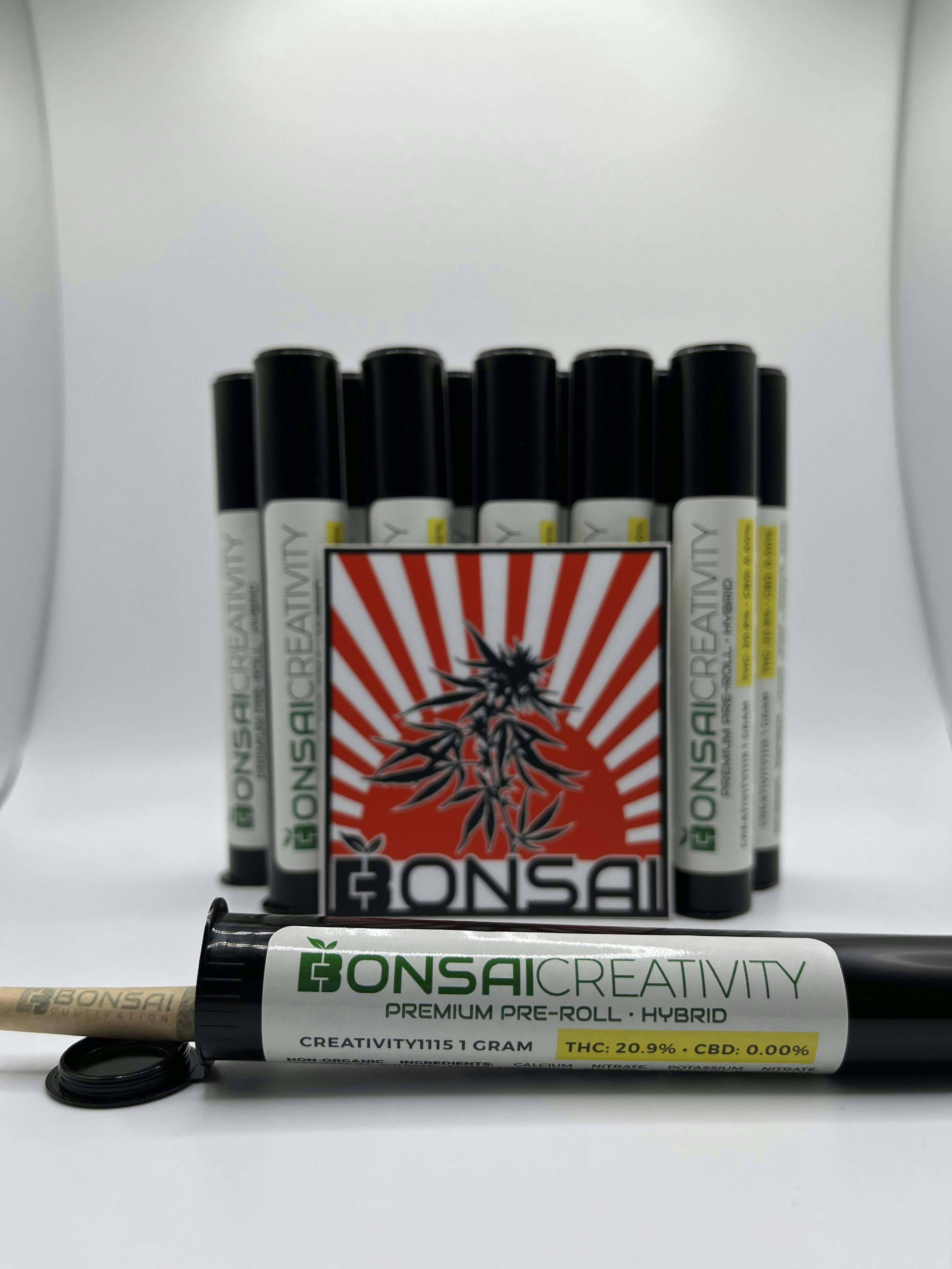 Creativity (H) 1g Joint By Bonsai