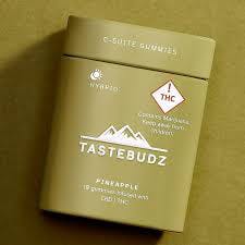 Taste Budz (H) Pineapple 1:1 Rosin Gummies 100mgCBD/100mgTHC