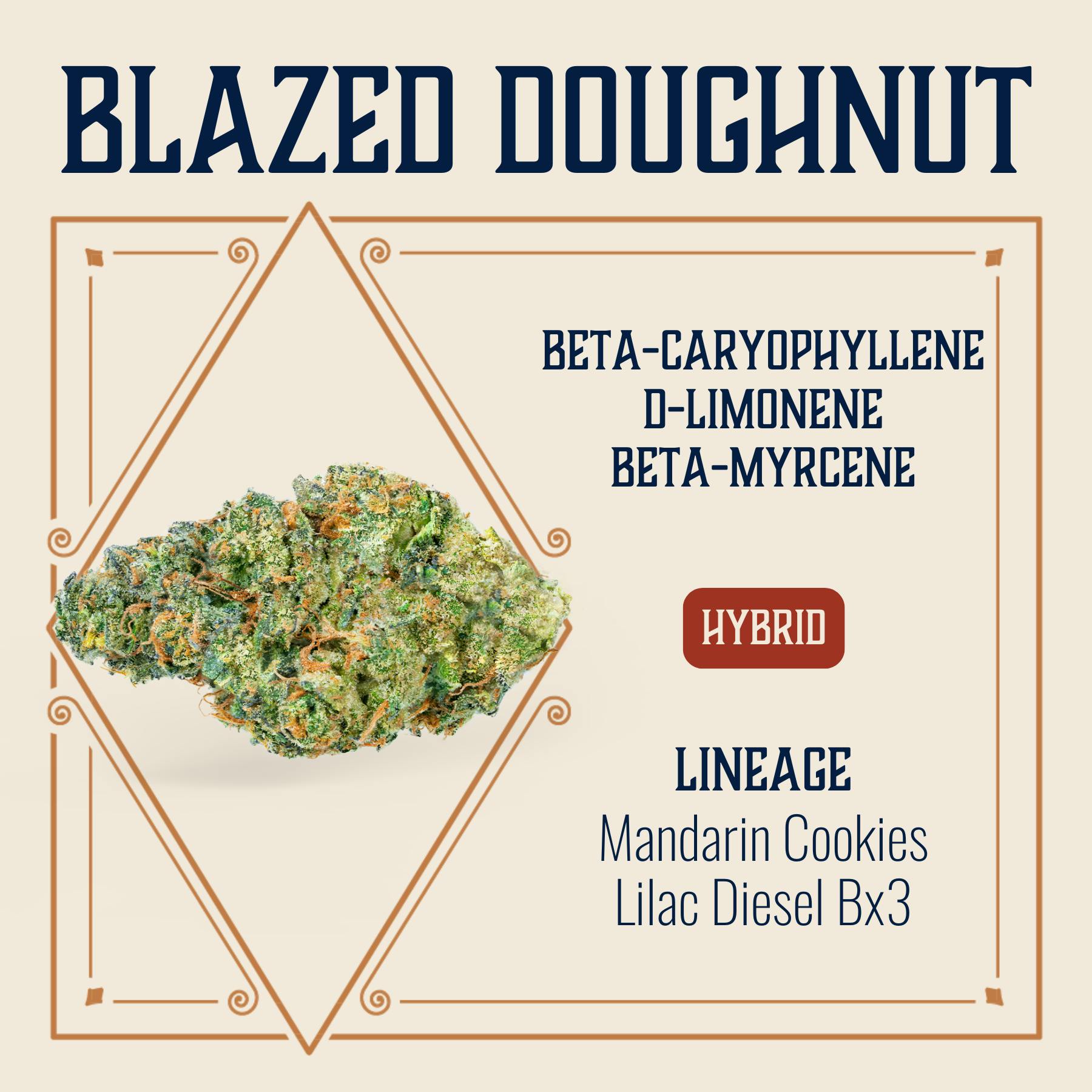 Doughnut