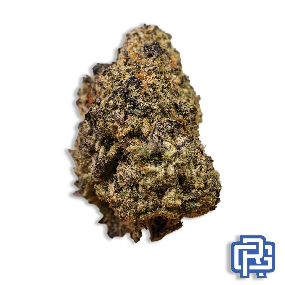Gooch Goblin Flower: Black Sheep Cultivation