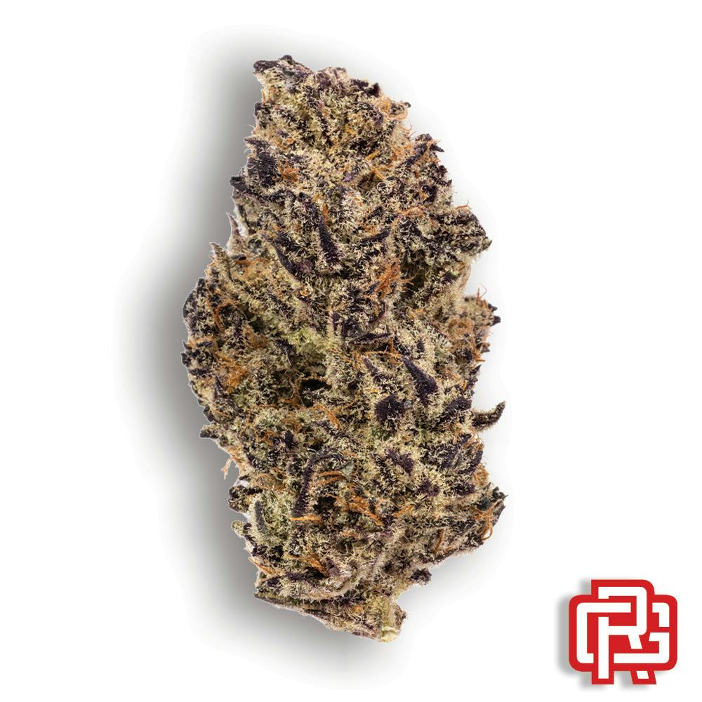 Miami Peach Flower: The Heights Co