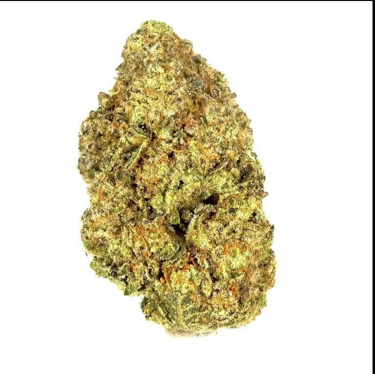 Sherbz Flower By Nobo