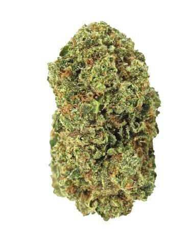 Mango Runtz Flower by Nature's Remedy
