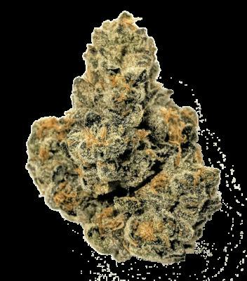Bubbly Boof Smalls by Elysium