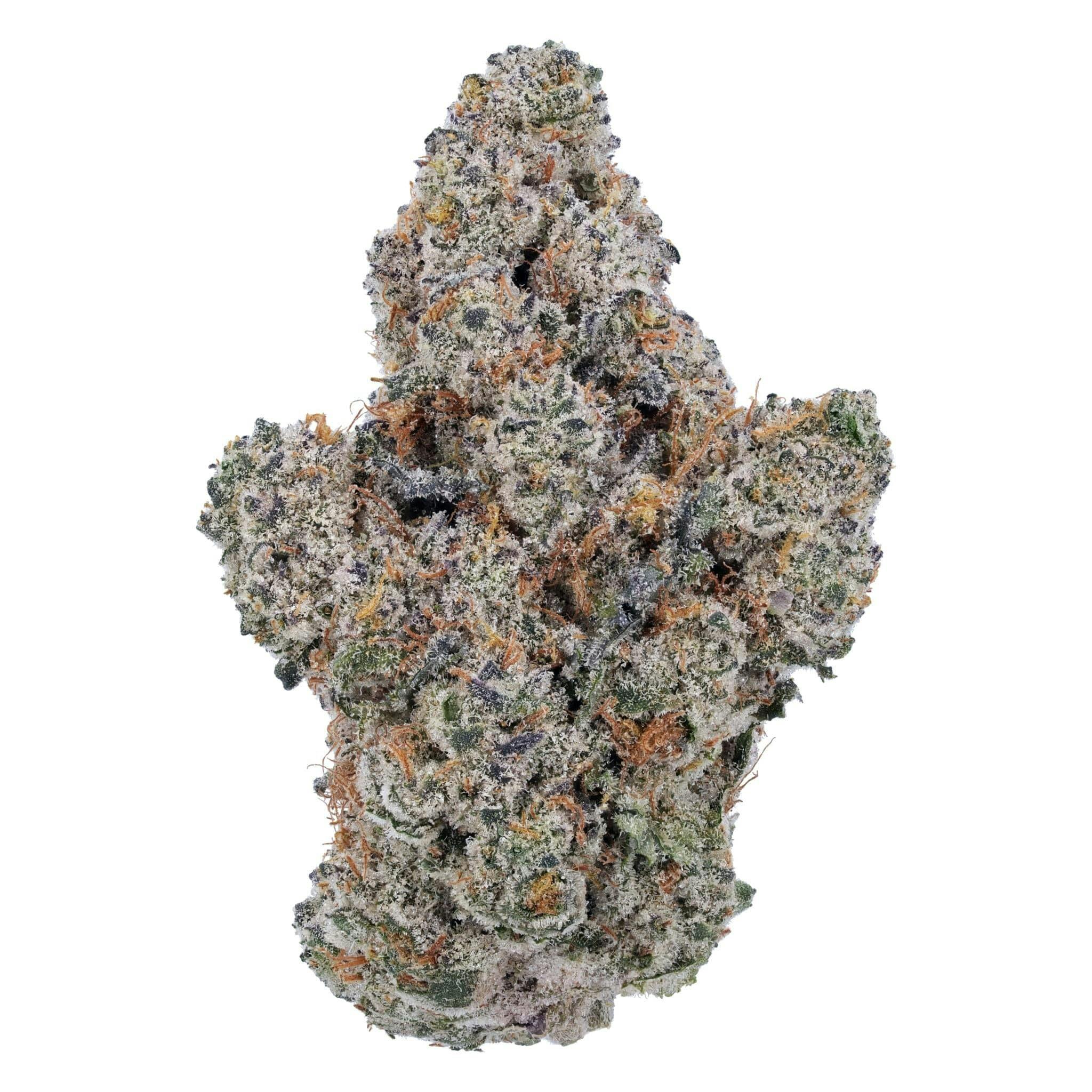 Dj Short Blueberry Flower by Elysium