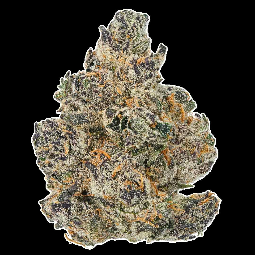 Curelato Flower by Hytek