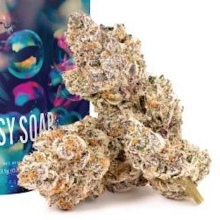 Gypsy Soap Smalls by Kai
