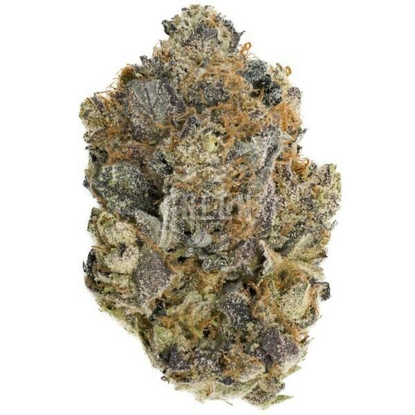 Gorilla Glue #4 Smalls by Trap House