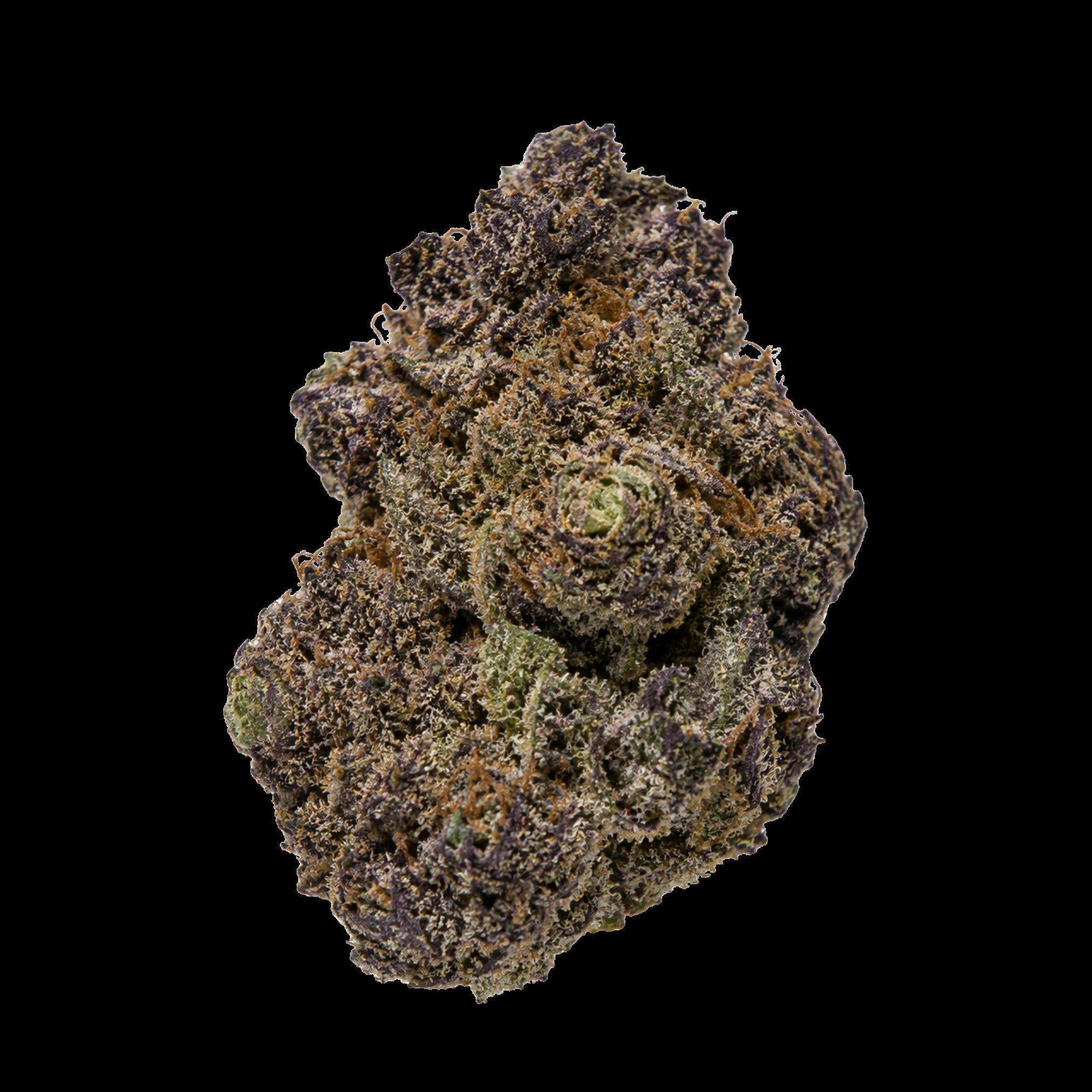 Grape Mochi Flower by Peninsula Gardens