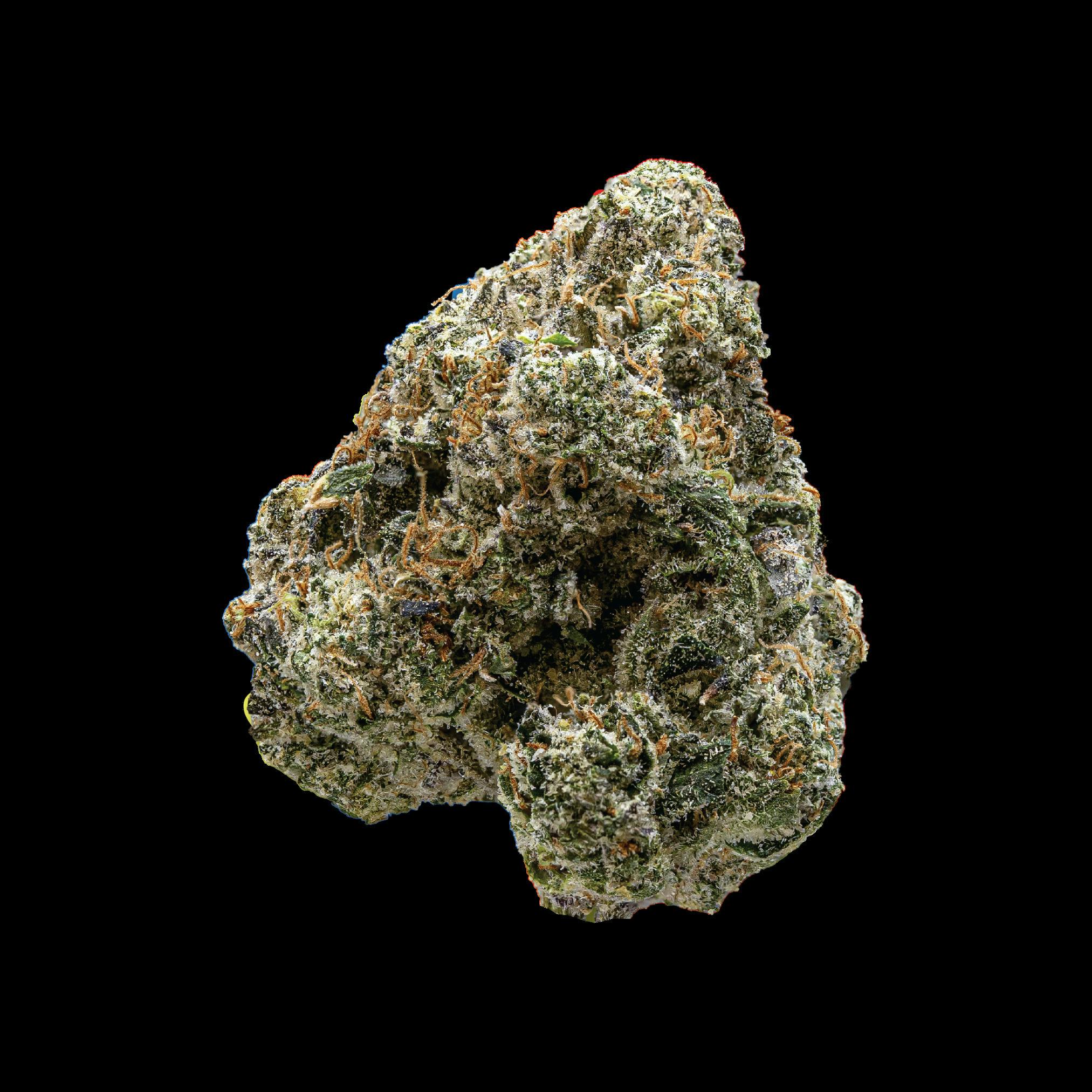 Runtz Flower by Peninsula Gardens