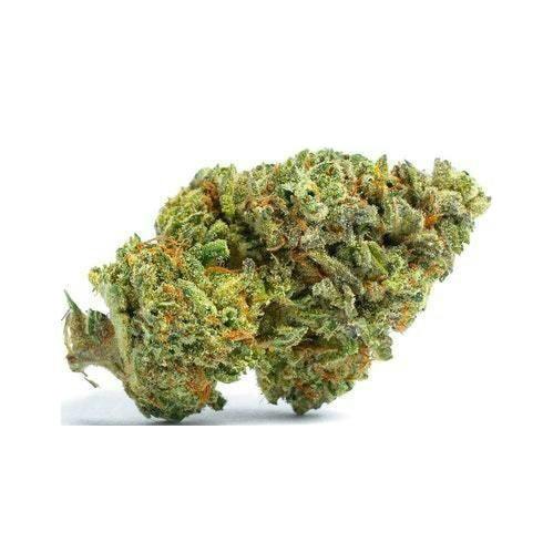 Gary Payton Flower by Nature's Remedy