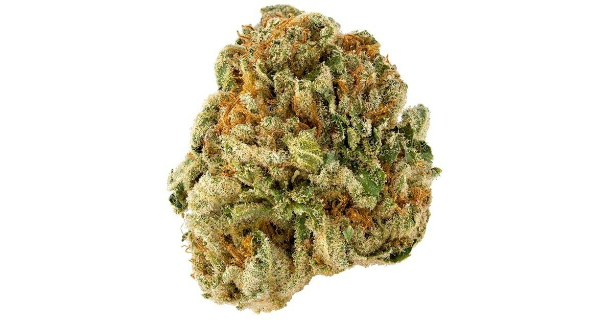 Banana Taffy Flower by Growing Pains