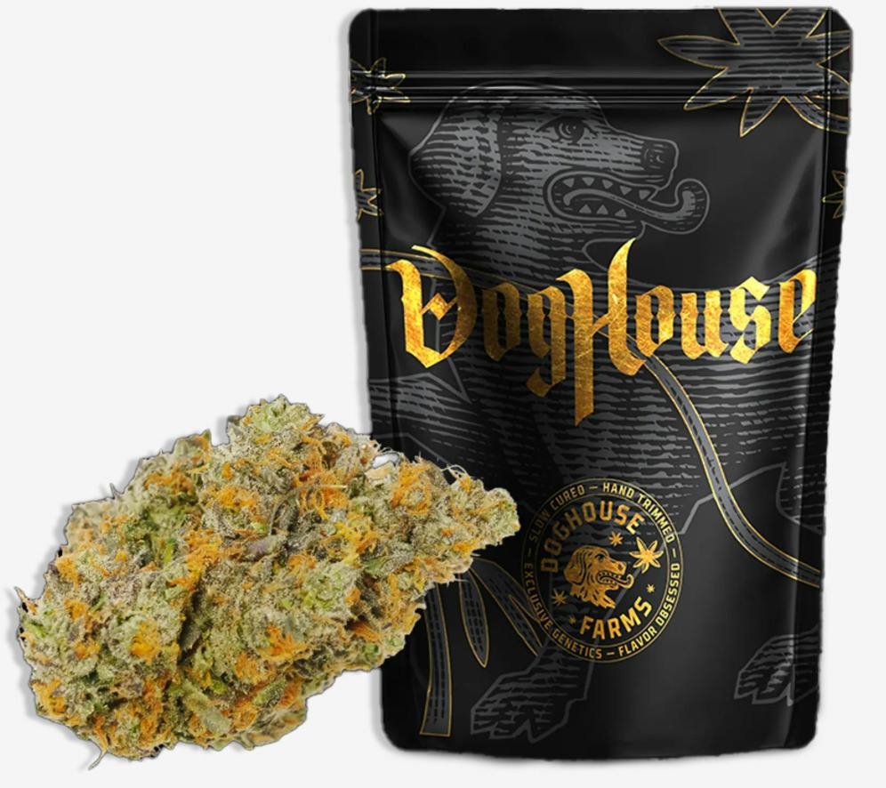Papa Burger Flower by Dog House