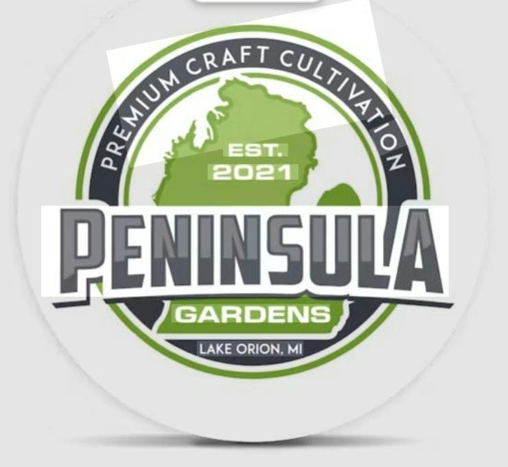 Honey Banana 1g Hash Rosin by Peninsula Gardens