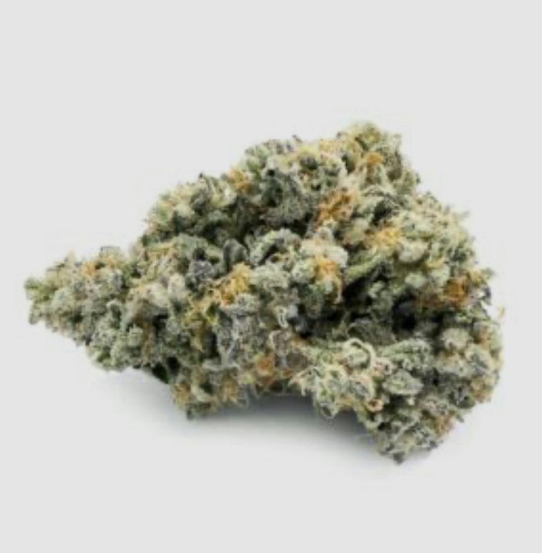Animal Z Flower by Nature's Remedy