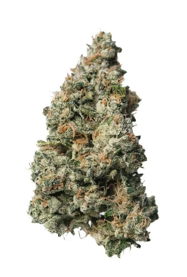 Black Maple 22 Organic Flower by Nature's Remedy