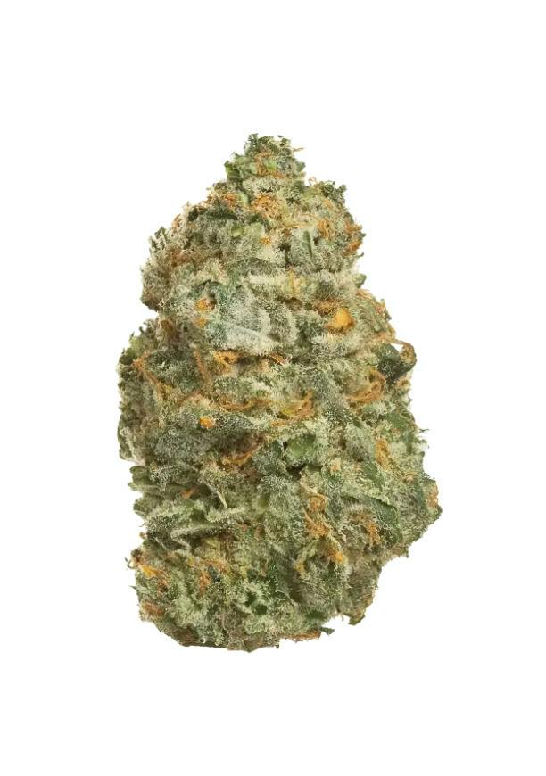 Peach Goblin Flower By Vanilla Sunshine