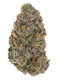Zour Guava Flower by Kai